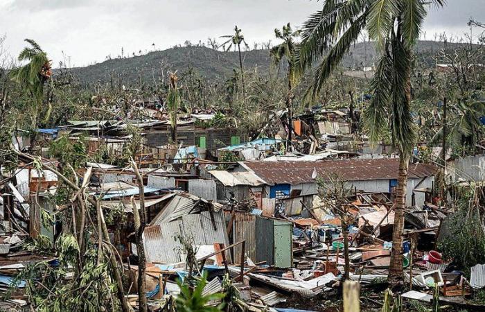 TESTIMONY. “Poverty is in plain sight”: a Gardois who lives in Mayotte recounts the dramatic consequences of Cyclone Chido