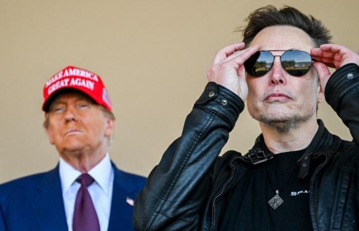 Will Elon Musk become a nuisance for Donald Trump?