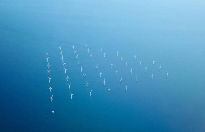 EDF, Maple Power to Develop 250MW Floating Wind Farm in France