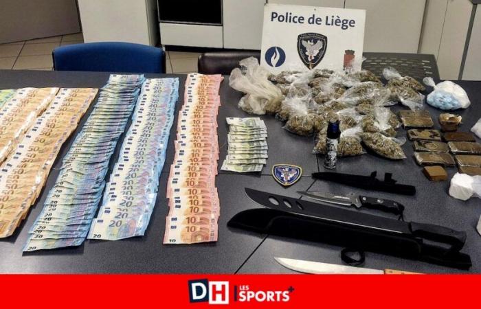 Major drug trafficking dismantled in Sclessin