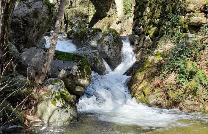 The price per m3 of drinking water and sanitation voted