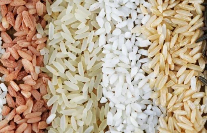 Taxes on rice imports to be suspended from 2025