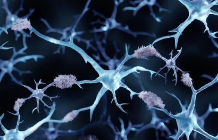 how cellular stress activates neurodegeneration