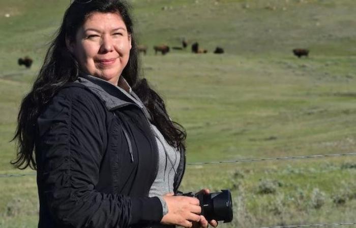 In the Prairies, 10 years of bison revitalization