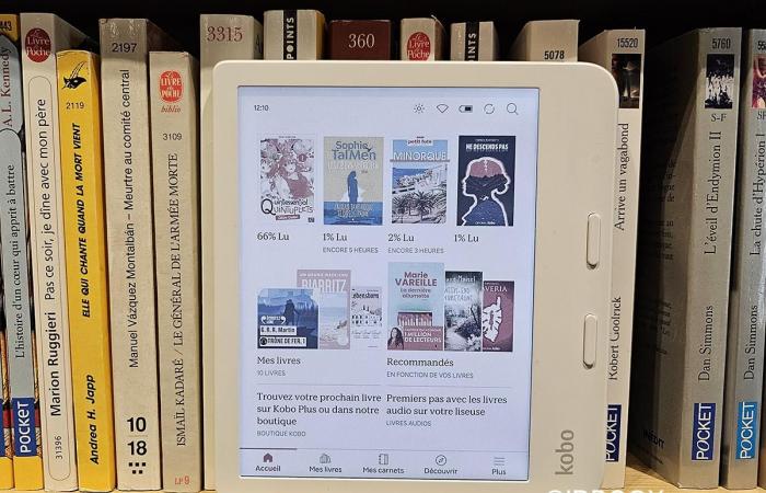 The Top digital readings on Kobo in 2024 in France