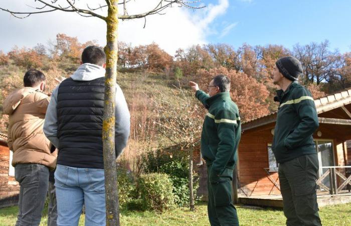 Legal obligation to clear brush, an approach to spread in Aveyron