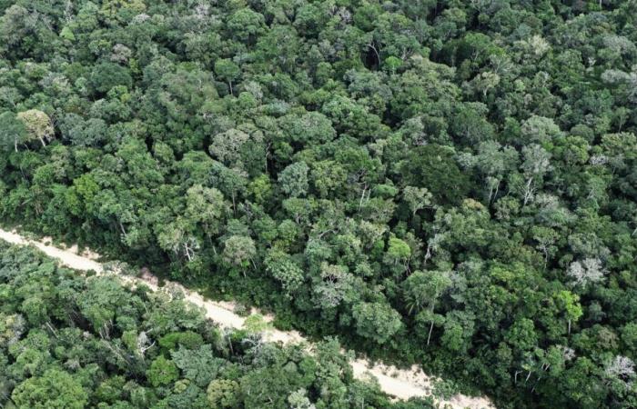 in Brazil, an isolated indigenous community in the Amazon was photographed for the first time