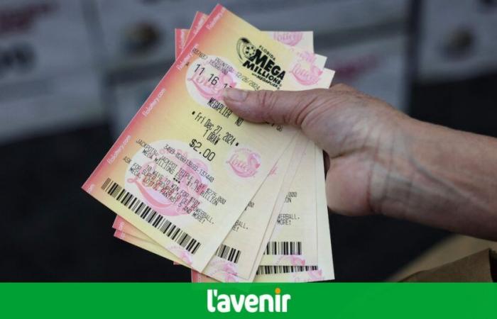 Mega Millions: can we play the American lottery from Belgium which puts 1.15 billion dollars at stake this Friday?