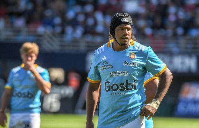 Top 14 – USAP: after two months of absence, Marvin Orie returned to collective training