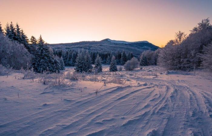 -21.3°C at Reculfoz and -19.5°C at La Chaux, a look back at this freezing awakening in the Jura Massif • Météo Franc-Comtoise