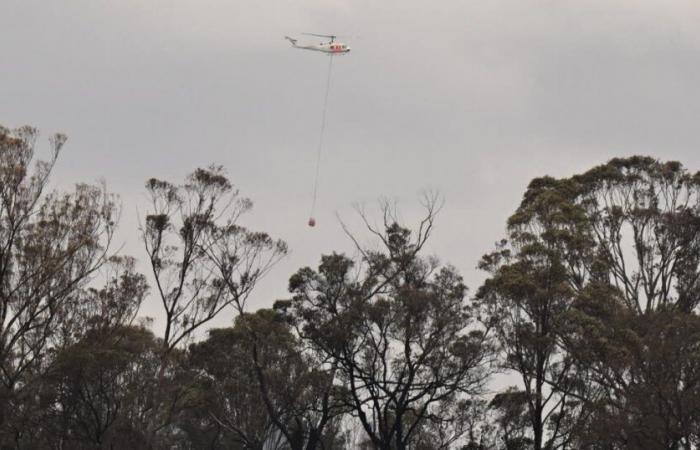 Australia. A fire “the size of Singapore” spreads in the southeast of the country