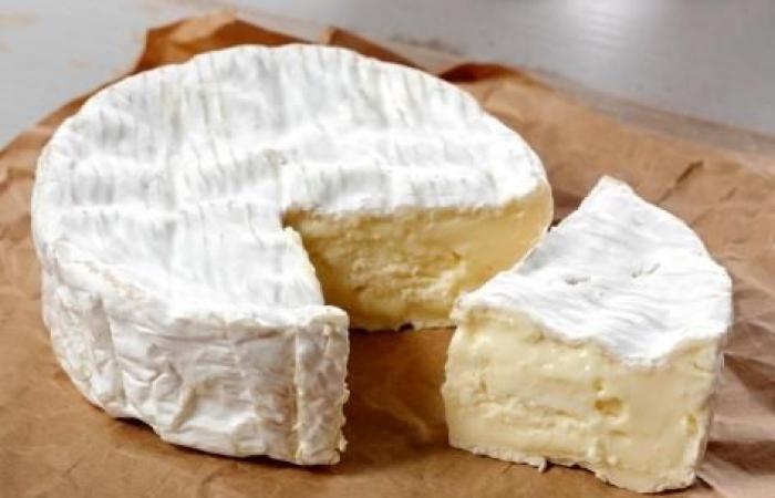 Can Camembert boost our cognitive faculties?