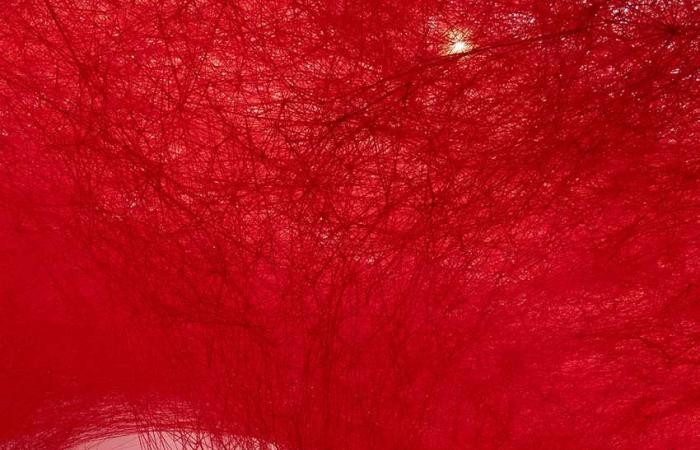 At the Grand Palais, Chiharu Shiota capsizes our souls