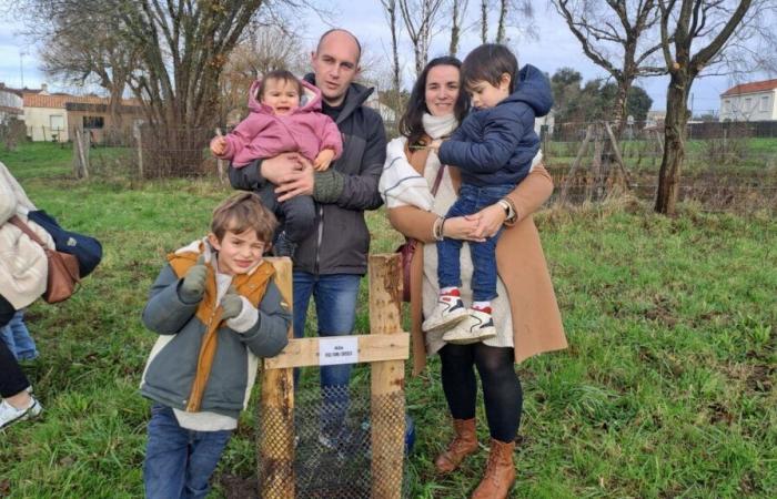 In this town of Loire-Atlantique, eighteen babies born in 2023 have their own tree