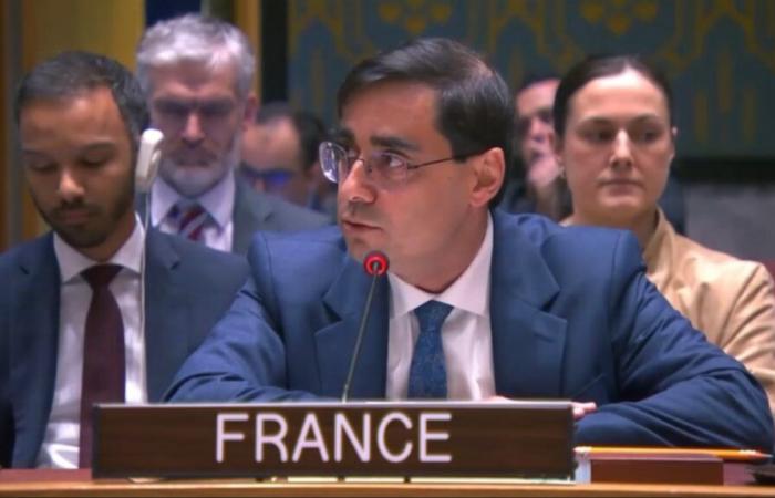 France welcomes the creation of the Support and Stabilization Mission of (…)