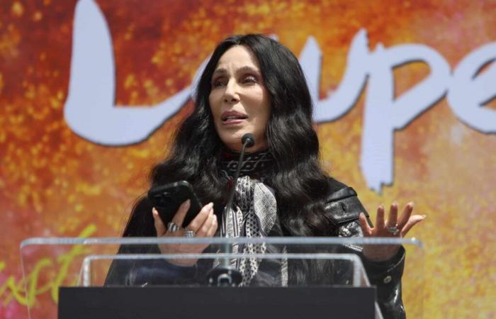 “I really want”, Cher confides in one of her singular desires