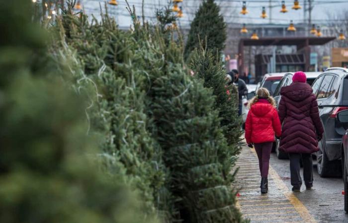 Here’s how to get rid of your Christmas tree in Montreal