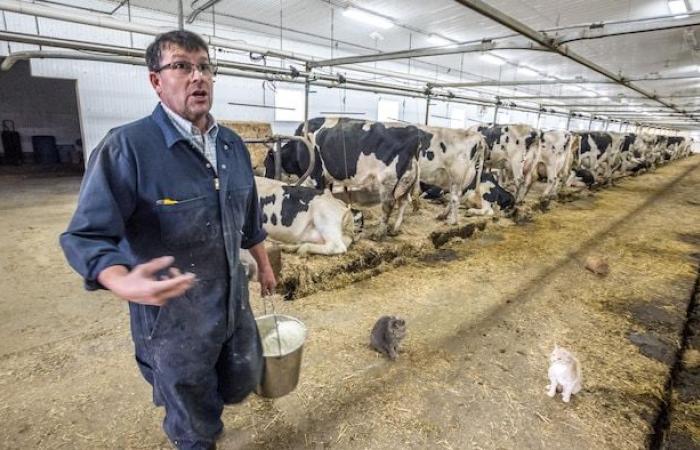 The holiday season, sometimes “dark” in Manitoba’s fields