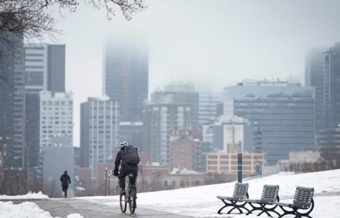 Heat records expected in certain sectors of Quebec: the mildest December 30 in history?