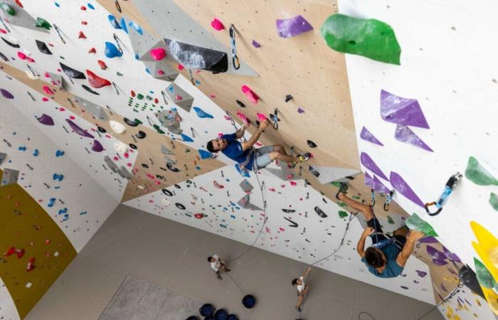 Notice to climbers, a new climbing gym will open in Gard in 2025