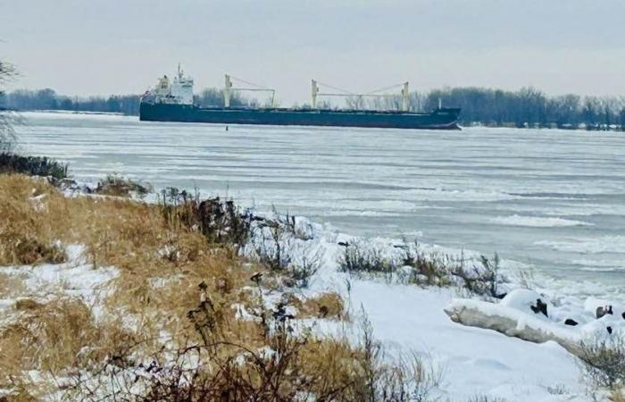 Widespread power outage | The ship stranded near Verchères will be refloated on Friday