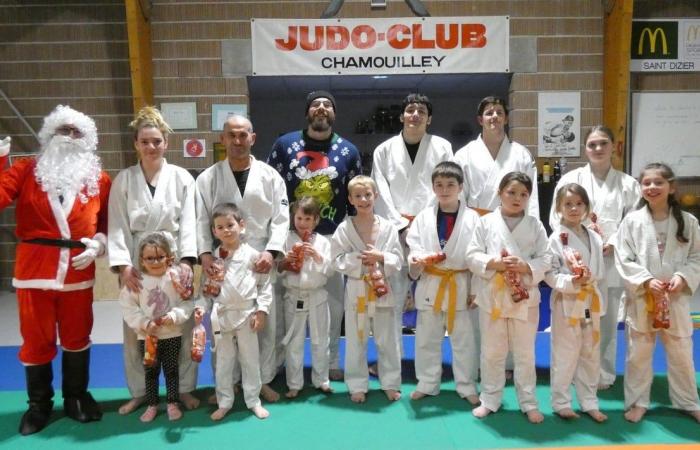 Gold and bronze medals in judo