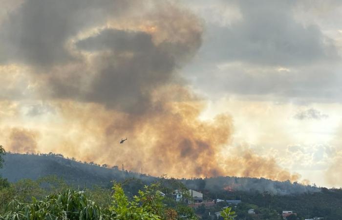 A major forest fire in La Montagne, seven fires in progress in Reunion