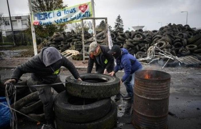 Food aid associations join forces with farmers to fight against junk food