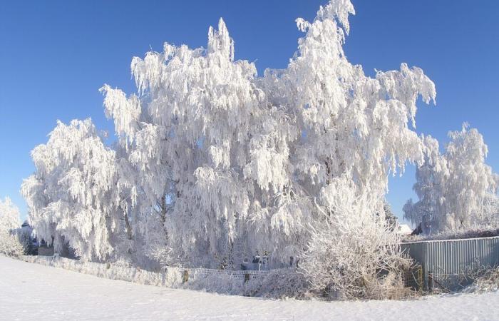 severe cold this weekend in Occitanie, severe frost all the way to the plains