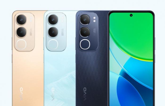 Vivo Y29 5G: launch of a smartphone with RGB lighting and IP certification