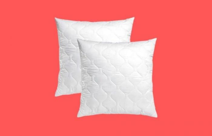 A top seller, this set of 2 pillows costs only 15.99 euros