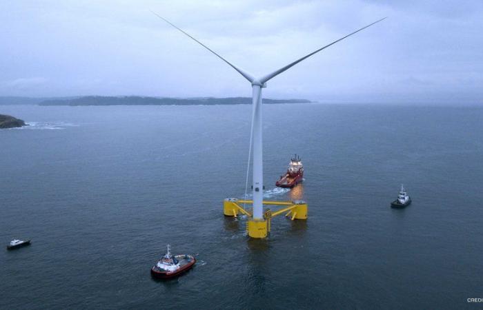 Floating offshore wind farms off the Aude coast: the government announces the winner of the call for tenders