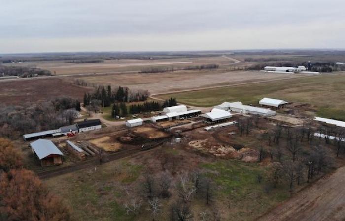 The holiday season, sometimes “dark” in Manitoba’s fields