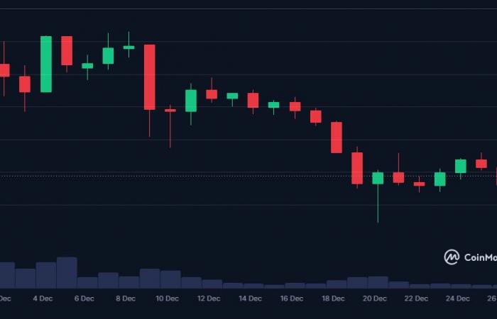 What is the future for Dogecoin and Shiba Inu?