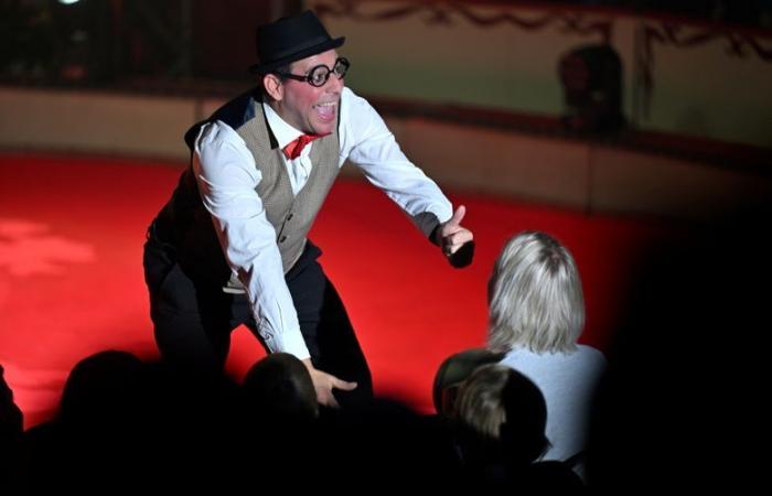 “I am like a kid, this universe has always fascinated me”: in the footsteps of Monsieur Loyal at the Christmas Circus, in Toulouse