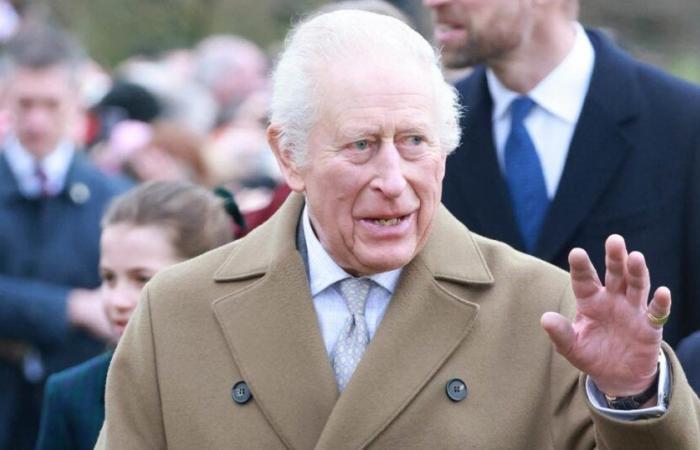 Charles III, William, Anne… Which member of the royal family worked the most this year?