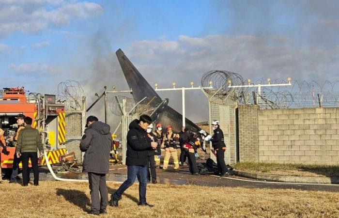 Accident in air and space: Plane crash in Muan in South Korea: at least 29 dead