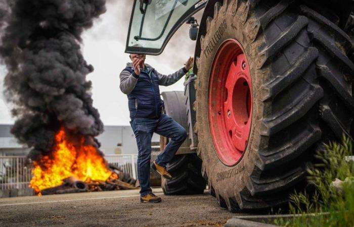 Surprise dissolution, agricultural anger, enchanted parenthesis of the Olympics, explosion of Mazan… the events which marked France in 2024