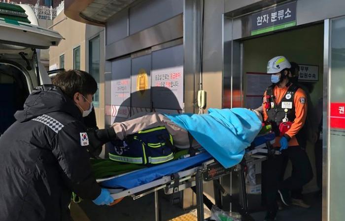 At least 85 dead and dozens missing after plane crashes at South Korea airport | World News