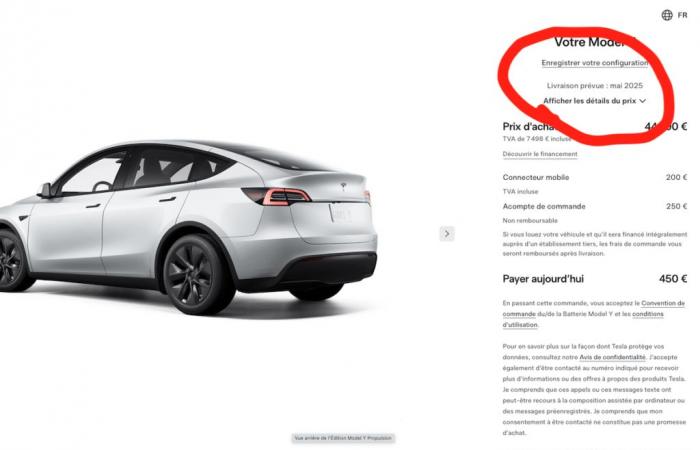 5 months of waiting for a Tesla Model Y?