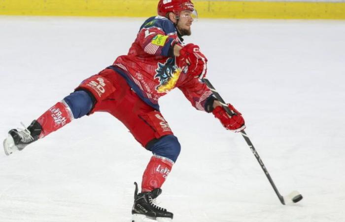 Ice Hockey – Magnus League. Grenoble received 15 out of 15, Briançon dominates Chamonix… the results of the evening