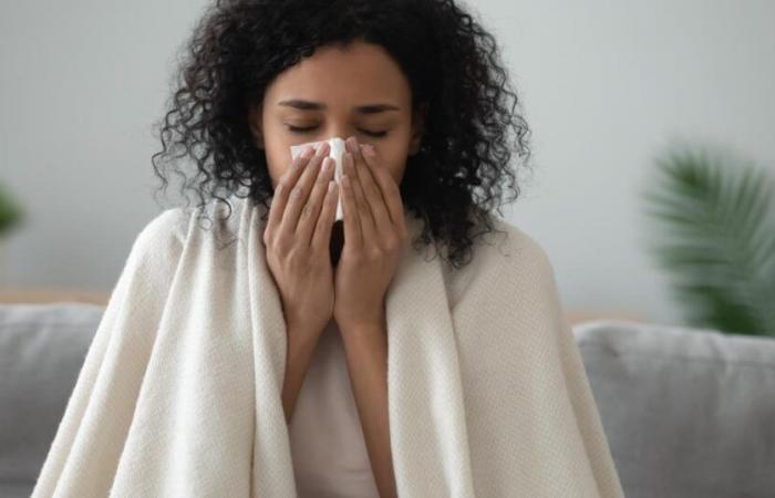 Martinique goes into a flu epidemic, Guadeloupe into a pre-epidemic