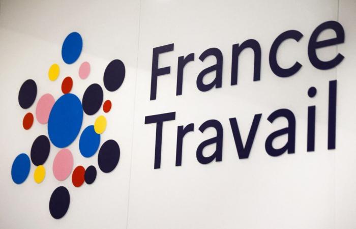 GUEST RTL – France Travail: why RSA beneficiaries will be automatically registered