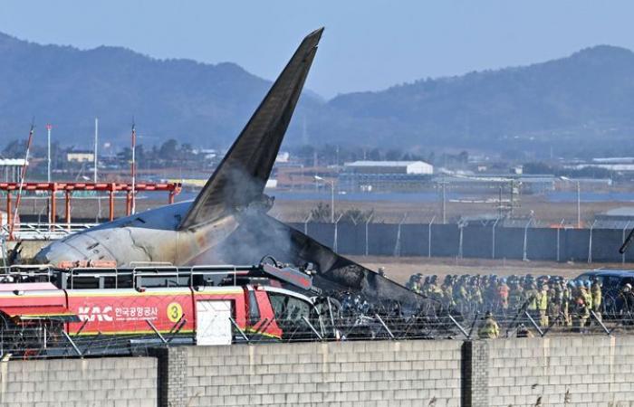 At least 85 dead and dozens missing after plane crashes at South Korea airport | World News