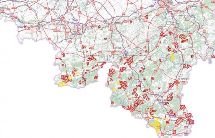 Wallonia: these hundreds of forest paths prohibited for hikes, walks, walks and cycling this weekend between Christmas and New Year