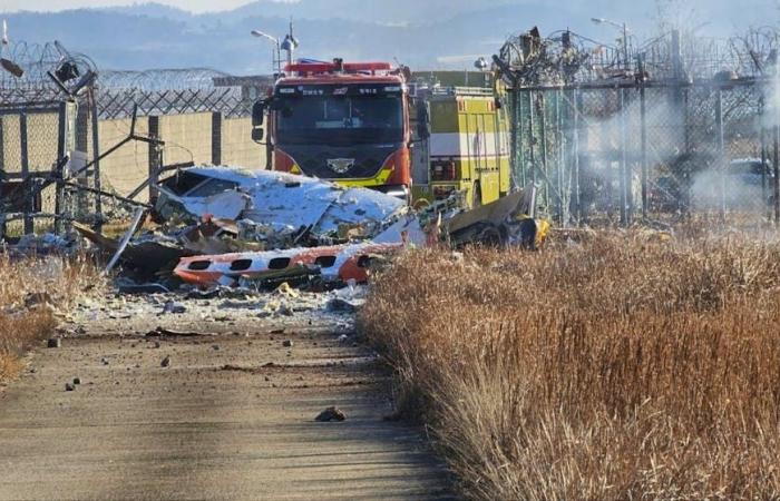 Accident in air and space: Plane crash in Muan in South Korea: at least 29 dead