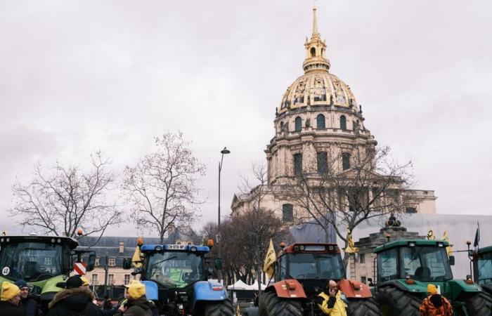 Angry farmers. Rural Coordination calls for blocking the capital on January 5, 2025