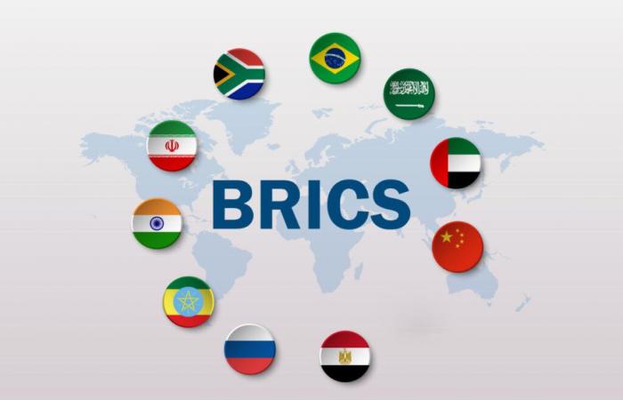 Wheat, corn, rice, soya: the BRICS+ dominate the market, the States…