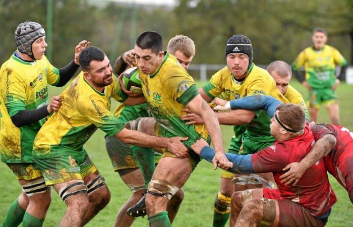 2024 in Aveyron: Lévézou Ségala XV and Élan Aveyron basketball fall a division