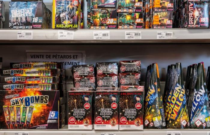 In Corsica-du-Sud, firecrackers and fireworks banned for end-of-year celebrations